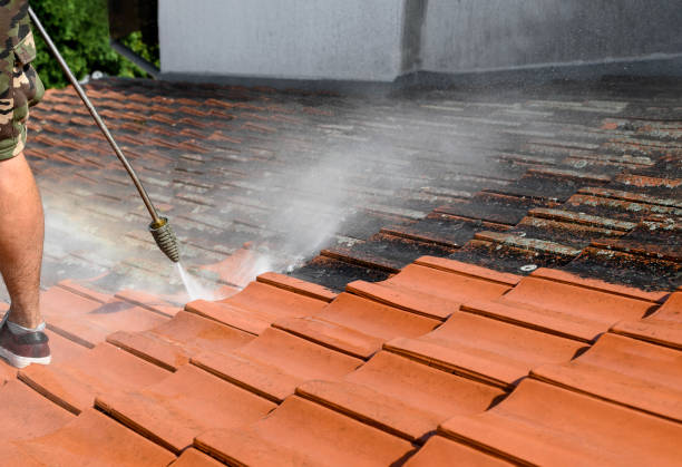 Best Affordable Pressure Washing  in Gibbon, NE