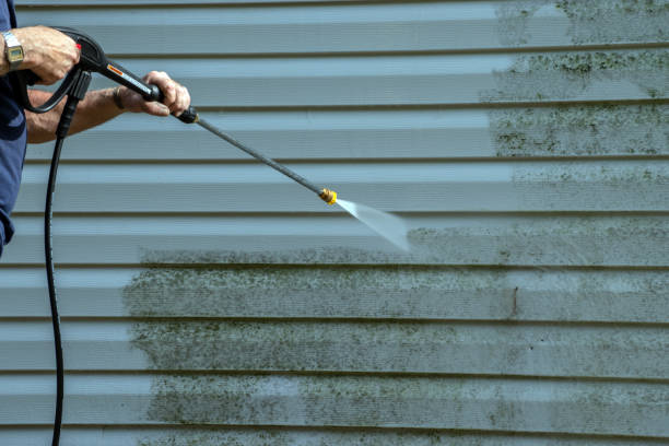 Best Roof Pressure Washing  in Gibbon, NE