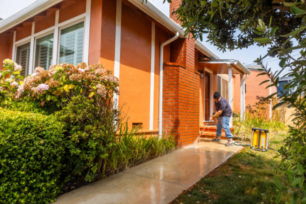 Best Local Pressure Washing Services  in Gibbon, NE